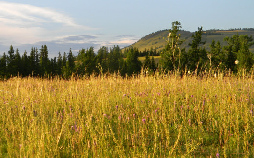 509665 (a): :2560x1600